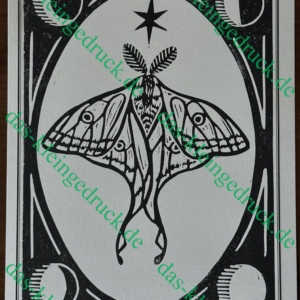 Moth - Jade Bastiaen