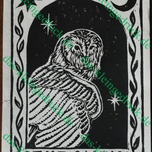 Eule - Jade Bastiaen